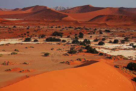 纳米布沙漠的沙丘图片