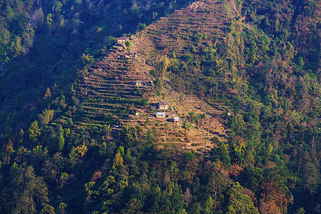 尼泊尔的村庄图片