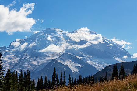 华盛顿雷尼尔山公园背景