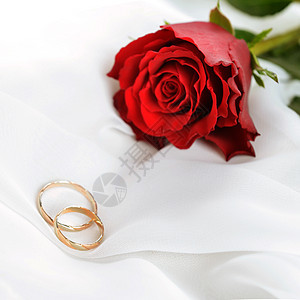 婚礼与玫瑰戒指白色丝绸图片