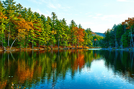 美国新罕布什尔州白山森林池塘图片
