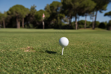 高尔夫球球美丽的球场与新鲜的绿色草背景图片