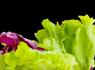 新鲜机生态蔬菜绿色沙拉,特写隔离白色黑色背景图片