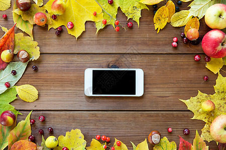 季节,广告技术智能手机框架秋叶,水果浆果木桌上图片