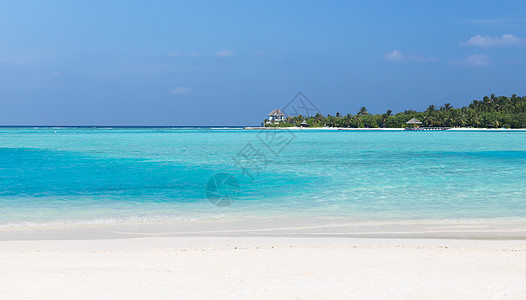 旅游,度假暑假的马尔代夫岛海滩与棕榈树别墅景观高清图片素材