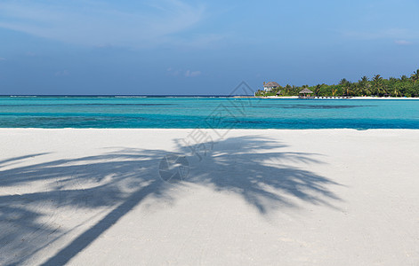 旅游,度假暑假的马尔代夫岛海滩与棕榈树别墅夏天高清图片素材