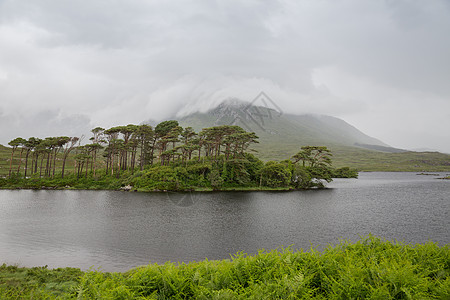 斐济美地来雾岛自然景观爱尔兰山谷的湖泊河流中的岛屿爱尔兰的湖泊河流中观看岛屿背景