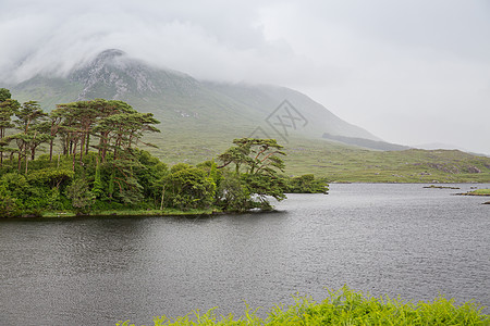 斐济美地来雾岛自然景观爱尔兰山谷的湖泊河流中的岛屿爱尔兰的湖泊河流中观看岛屿背景