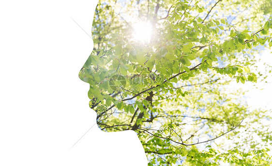 美丽,自然,旅游生态女轮廓与绿树树叶的双重曝光效果图片