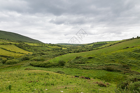 自然,农业,农村景观查看农田山丘野生大西洋方式爱尔兰图片