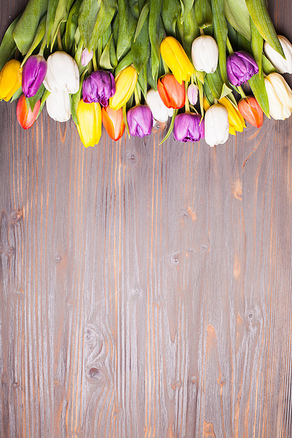 土灰色木板上的彩色郁金香的弹簧董事会上的彩色郁金香图片