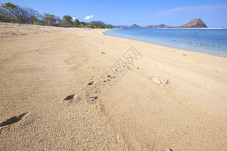 热带海滩干净的海水背景图片