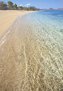 热带海滩干净的海水背景图片