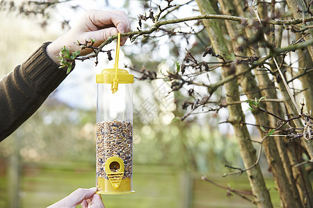 人花园里挂鸟喂食器背景图片