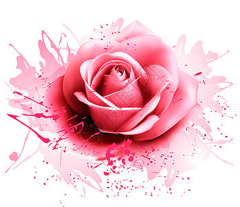 带粉红色玫瑰的贺卡矢量图片