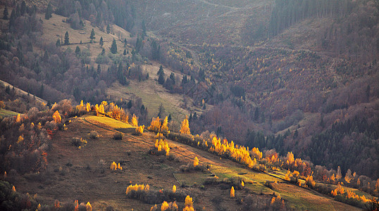 秋山全景十月喀尔巴阡山秋天图片