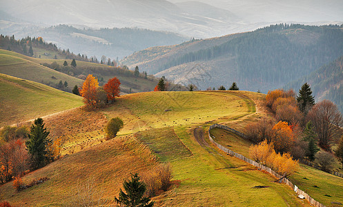 秋山全景十月喀尔巴阡山秋天图片