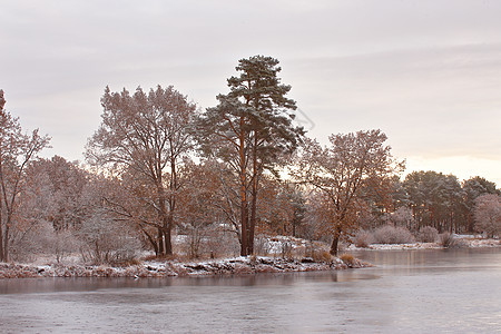 寒冷的下雪的早晨湖上深秋秋天湖边的树图片