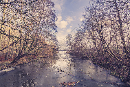冬天森林里条河上的冰图片