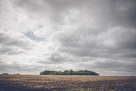 多云天气下农村田野上的小森林图片