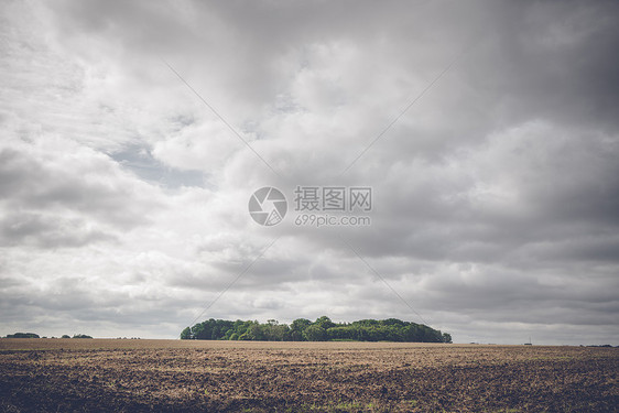 多云天气下农村田野上的小森林图片