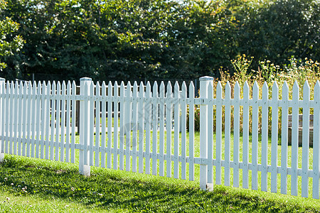 夏天花园里的白色篱笆图片