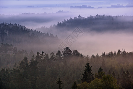雾蒙蒙的黎明公园波西米亚瑞士,捷克共国图片