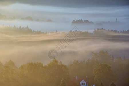 雾蒙蒙的黎明公园波西米亚瑞士,捷克共国图片