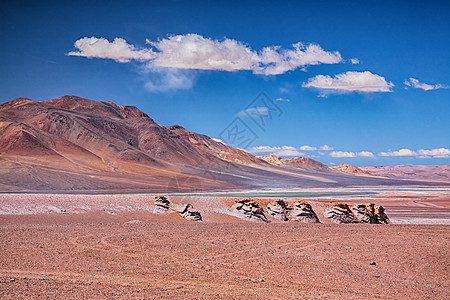 萨拉阿瓜斯卡连特斯,沙漠阿塔卡马,智利图片