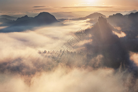 日出多雾的克莱纳温特伯格公园萨克森瑞士,德国图片