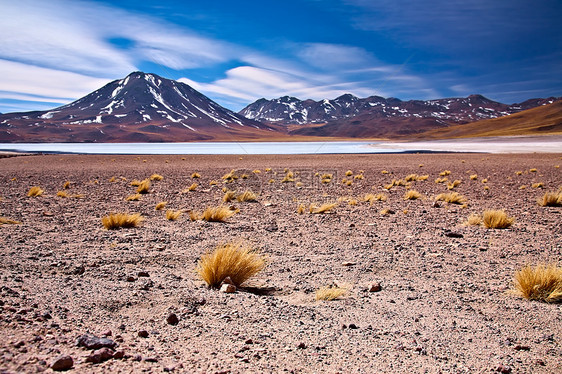 高原泻湖,靠近CerroMiscanti,沙漠阿塔卡马,智利图片