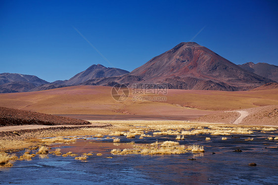 智利阿塔卡马地区里奥普塔纳附近的克拉多火山图片