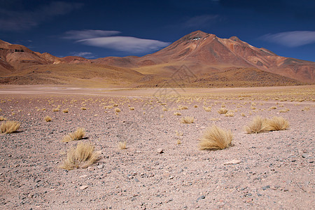 智利阿塔卡马沙漠的火山Miniques图片