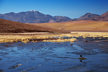 智利里约热内卢普塔纳附近的活火山普塔纳又称约肯卡尔马丘卡图片