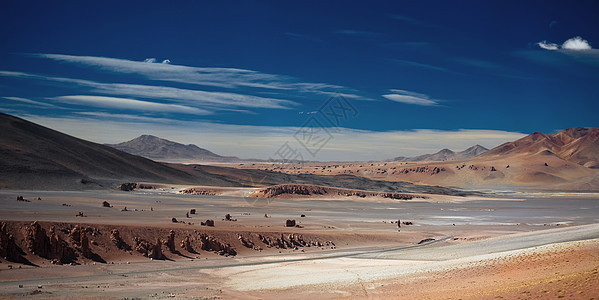 盐湖萨拉尔德塔拉,洛斯弗拉门科斯储备,智利图片
