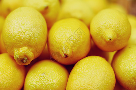 柠檬lemon的名词复数柠檬树柠檬黄蠢人图片