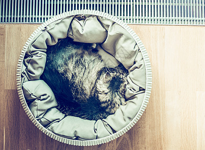 猫睡觉蜷缩篮子附近的窗户拼花地板,顶部的视图,文字的地方,复古色调图片
