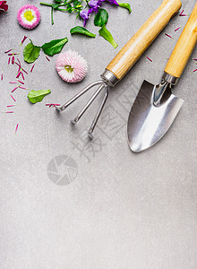 手工花园耙铲子与花卉植物灰色的石头背景,顶部视图,地方为文本夏季园艺背景图片