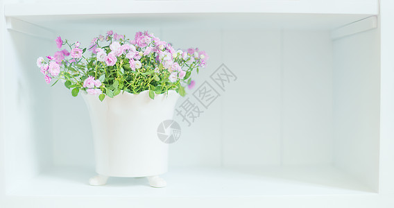 架子上白色花盆里漂亮的紫色花朵浅花家居装饰室内背景图片
