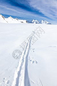 大冰川的新鲜雪上,位越野滑雪者的滑雪道背景下,蒙特罗萨马西夫泽马特,瑞士,欧洲的高峰图片