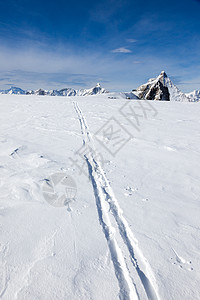 新雪上的滑雪痕图片