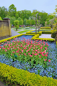 基肯霍夫花园,背景上的郁金香花草树木图片
