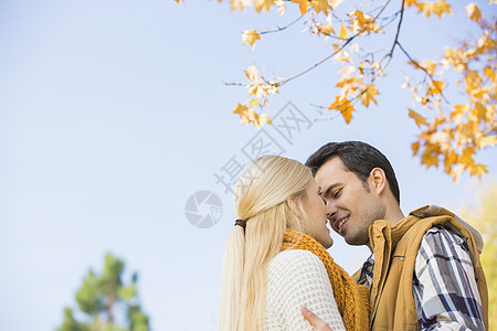 秋季情侣亲吻晴空的低角度视角图片