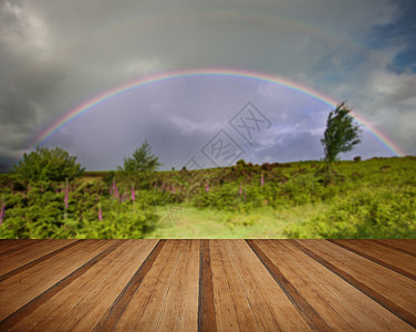 树与彩虹素材双虹以上的田野夏天的狐狸与木制木板地板背景
