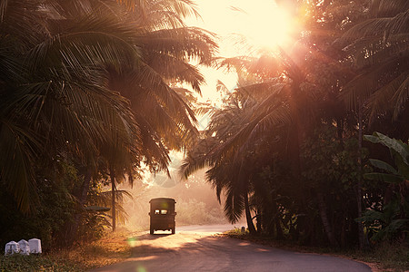 斯里兰卡的道路图片