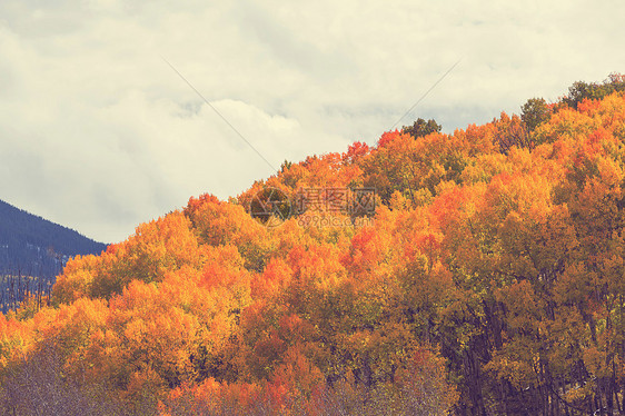 秋天的场景图片