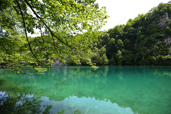 风景如画的湖森林的高山上图片