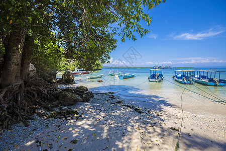 努沙佩尼达岛的热带海岸线巴厘岛印度尼西亚图片