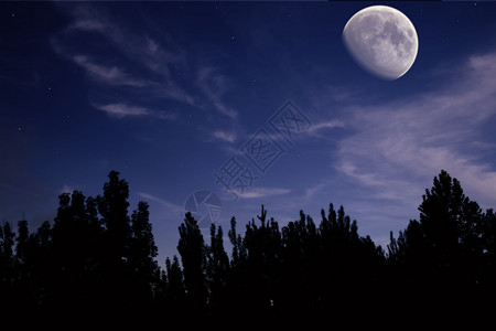 夜间景观与月亮,树木剪影,云星星图片
