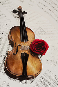 带着音符玫瑰特写的老小提琴图片